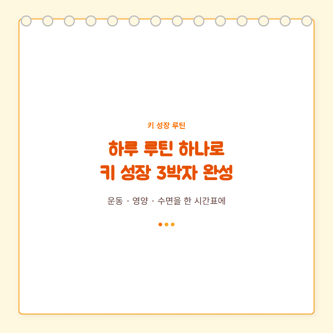 운동+영양+수면 하루 시간표