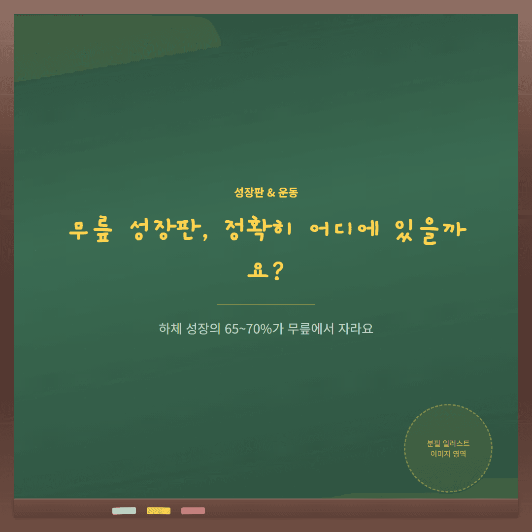 무릎 성장판 위치, 어디에 있고 어떻게 자극할까요?