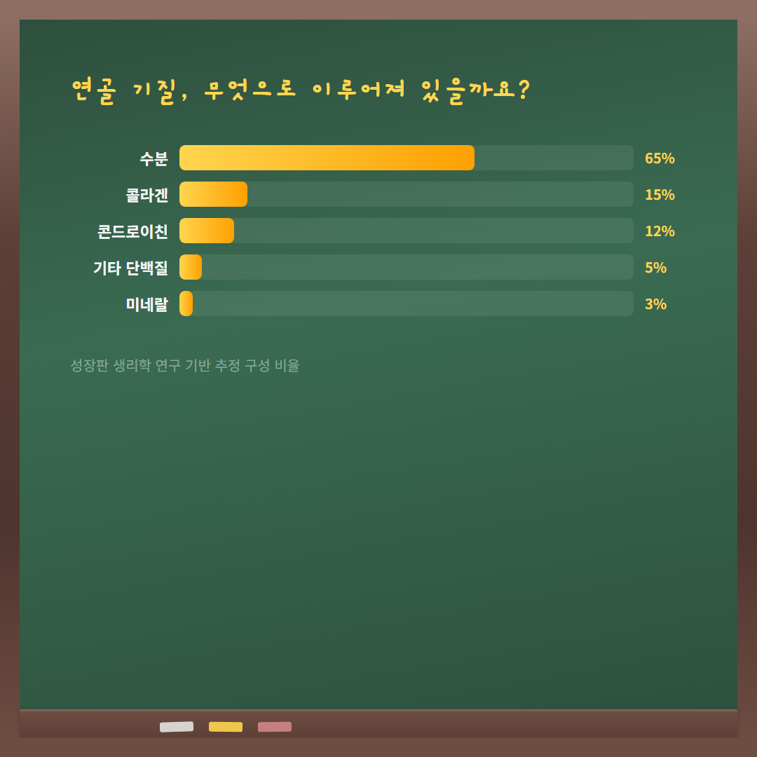 콘드로이친 연골 성장 효과 - 연골 기질 구성 비율