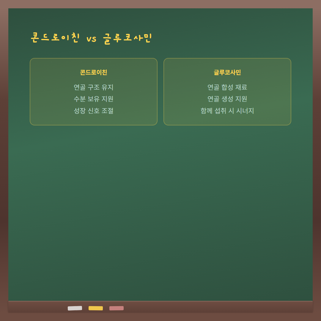 콘드로이친 연골 성장 효과 - 콘드로이친 vs 글루코사민 비교