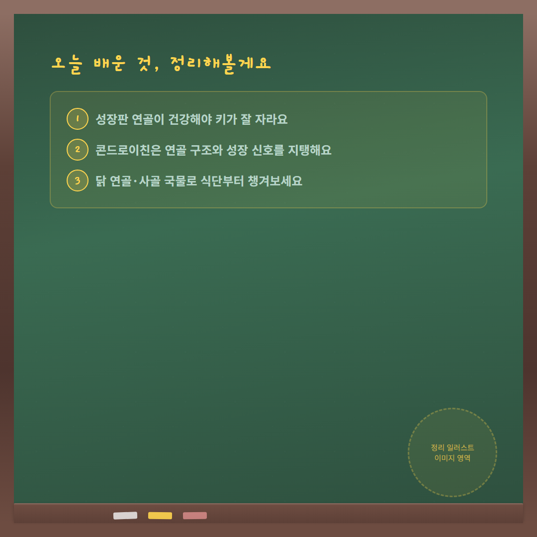 콘드로이친 연골 성장 효과 - 오늘 배운 것 정리