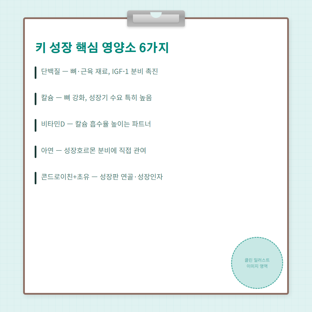 성장기 영양소 - 리스트