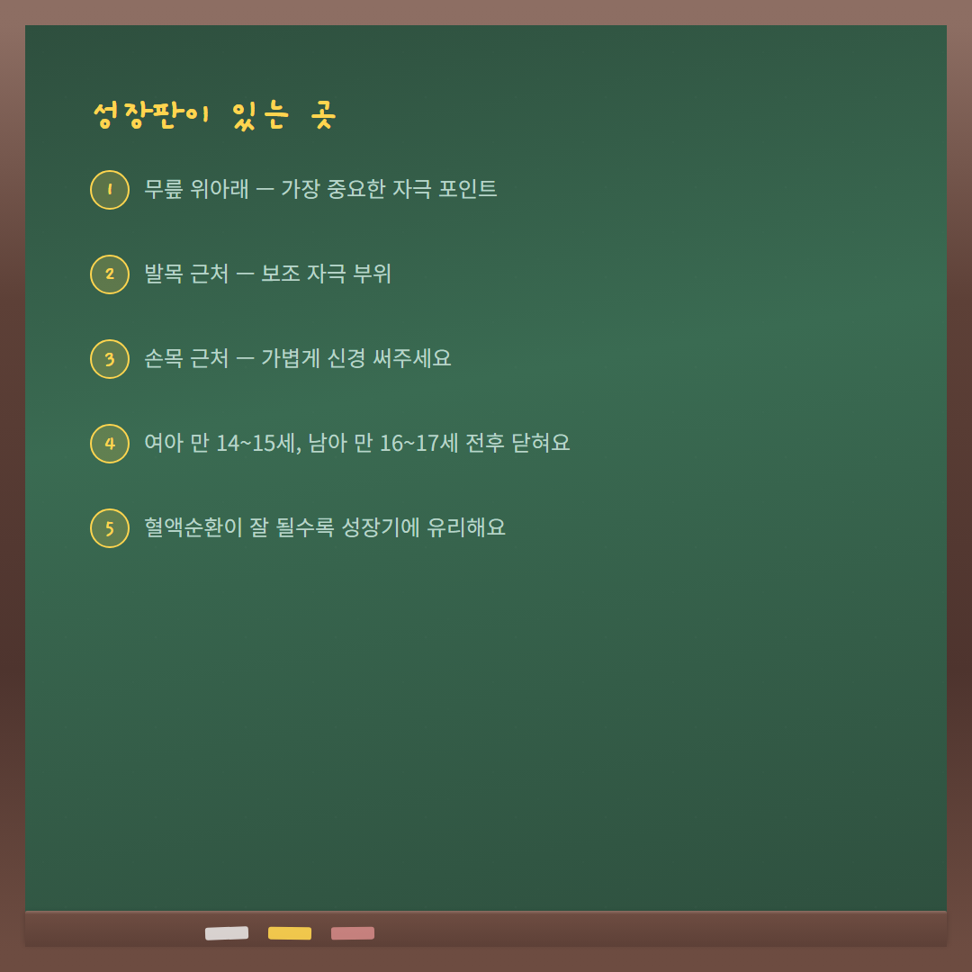 성장판 에어롤러 - 성장판 위치 카드