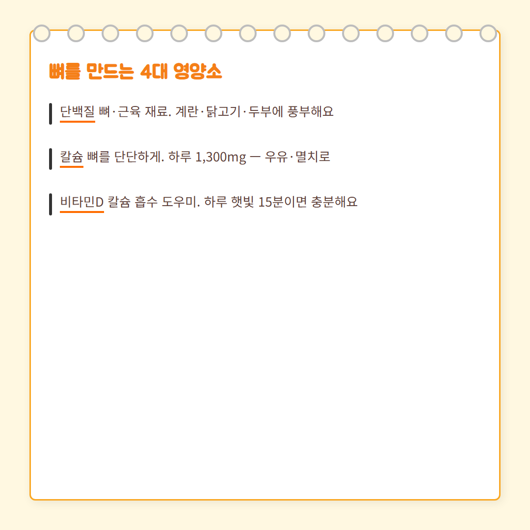 키 성장 3요소 - 영양소