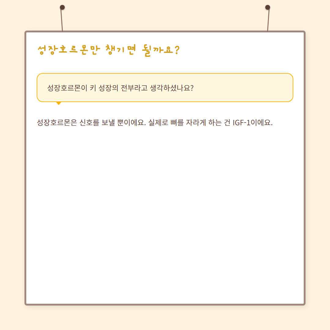 IGF-1 성장인자 - card-02 카드