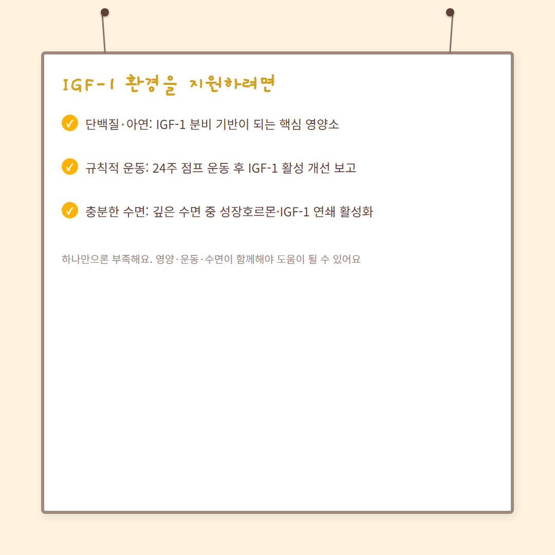 IGF-1 성장인자 - card-04 카드