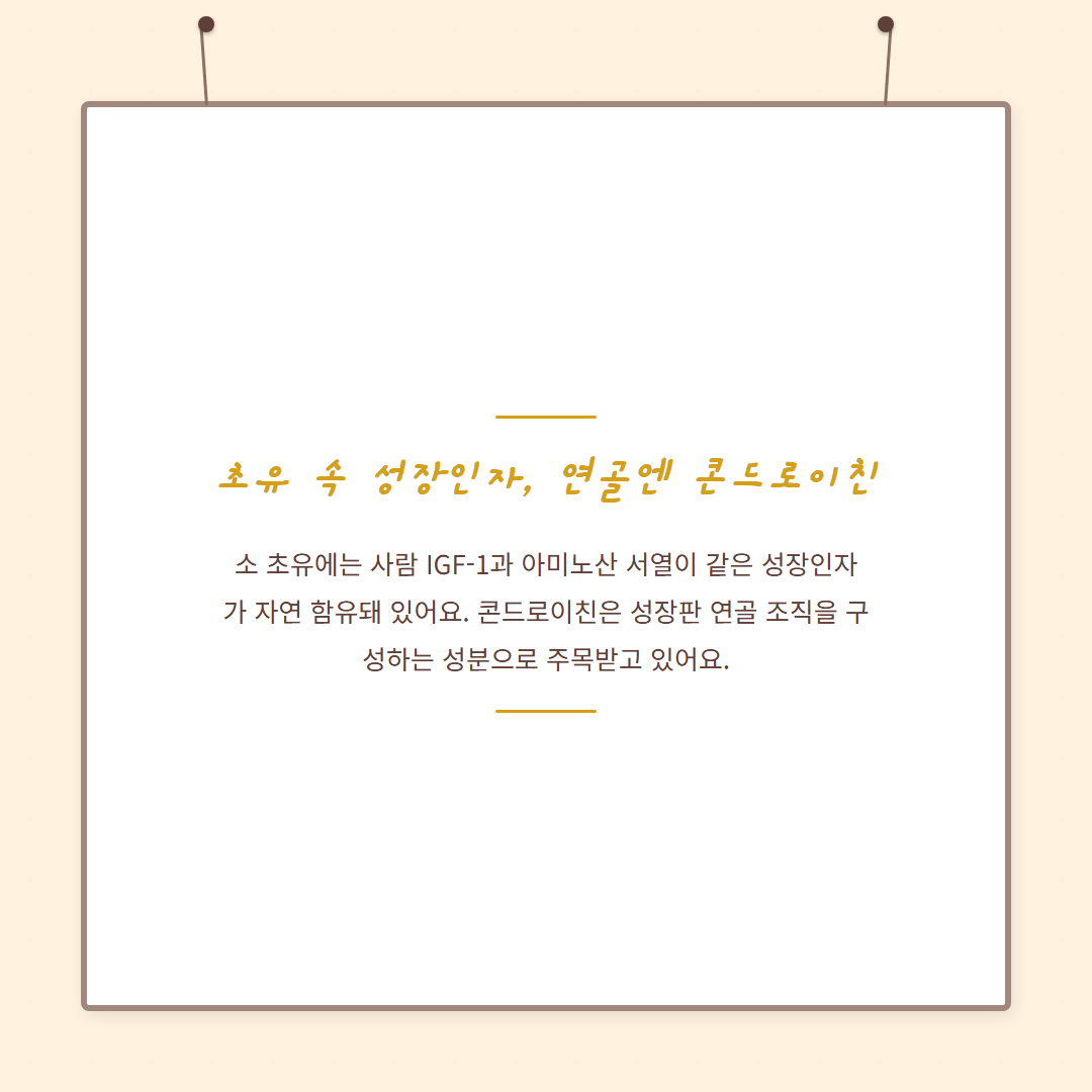 IGF-1 성장인자 - card-05 카드