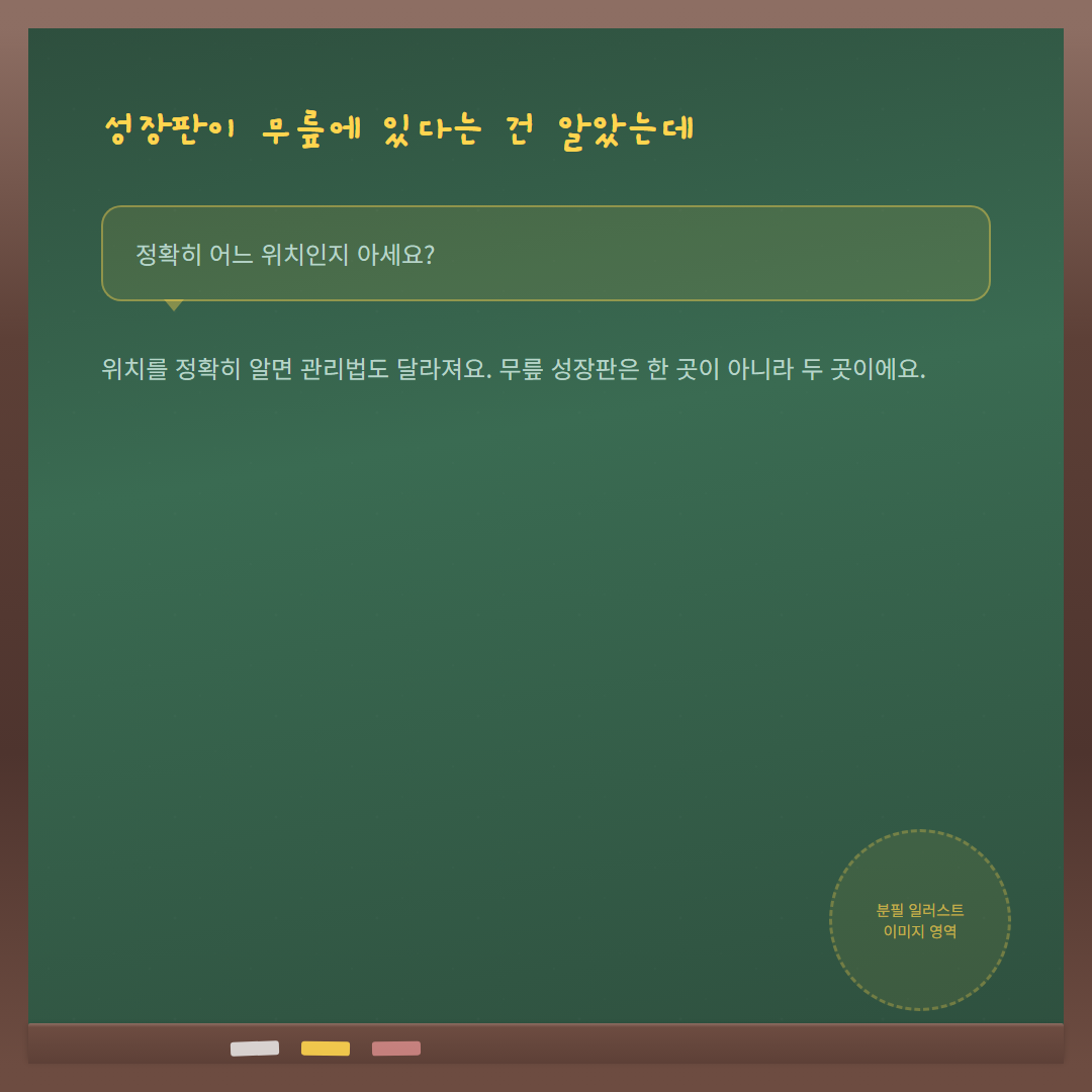 무릎 성장판 위치 - 해부학