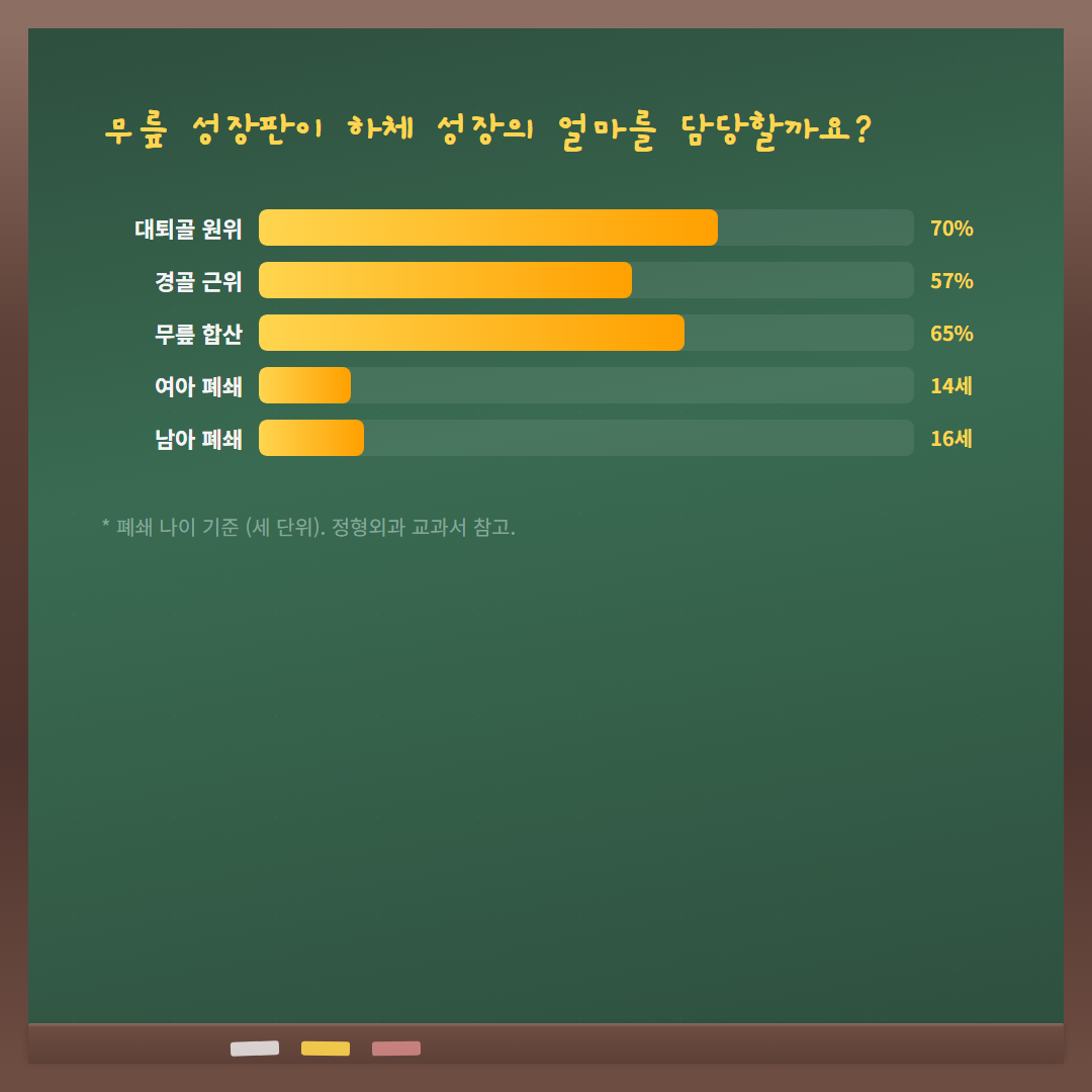 무릎 성장판 위치 - 기여도 차트
